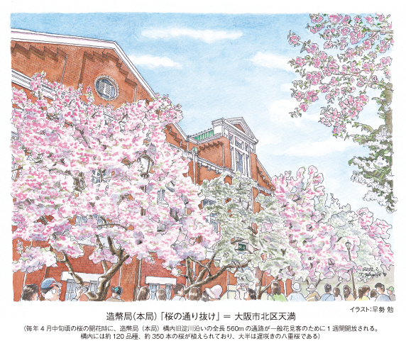 造幣局（本局） 「桜の通り抜け」