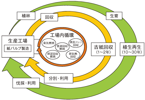 図3　循環型資源･エネルギー利用（紙パルプ）