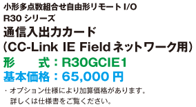 通信入出力カード（CC-Link IE Field ネットワーク用）形式：R30GCIE1