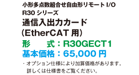 通信入出力カード（EtherCAT用）形式：R30GECT1